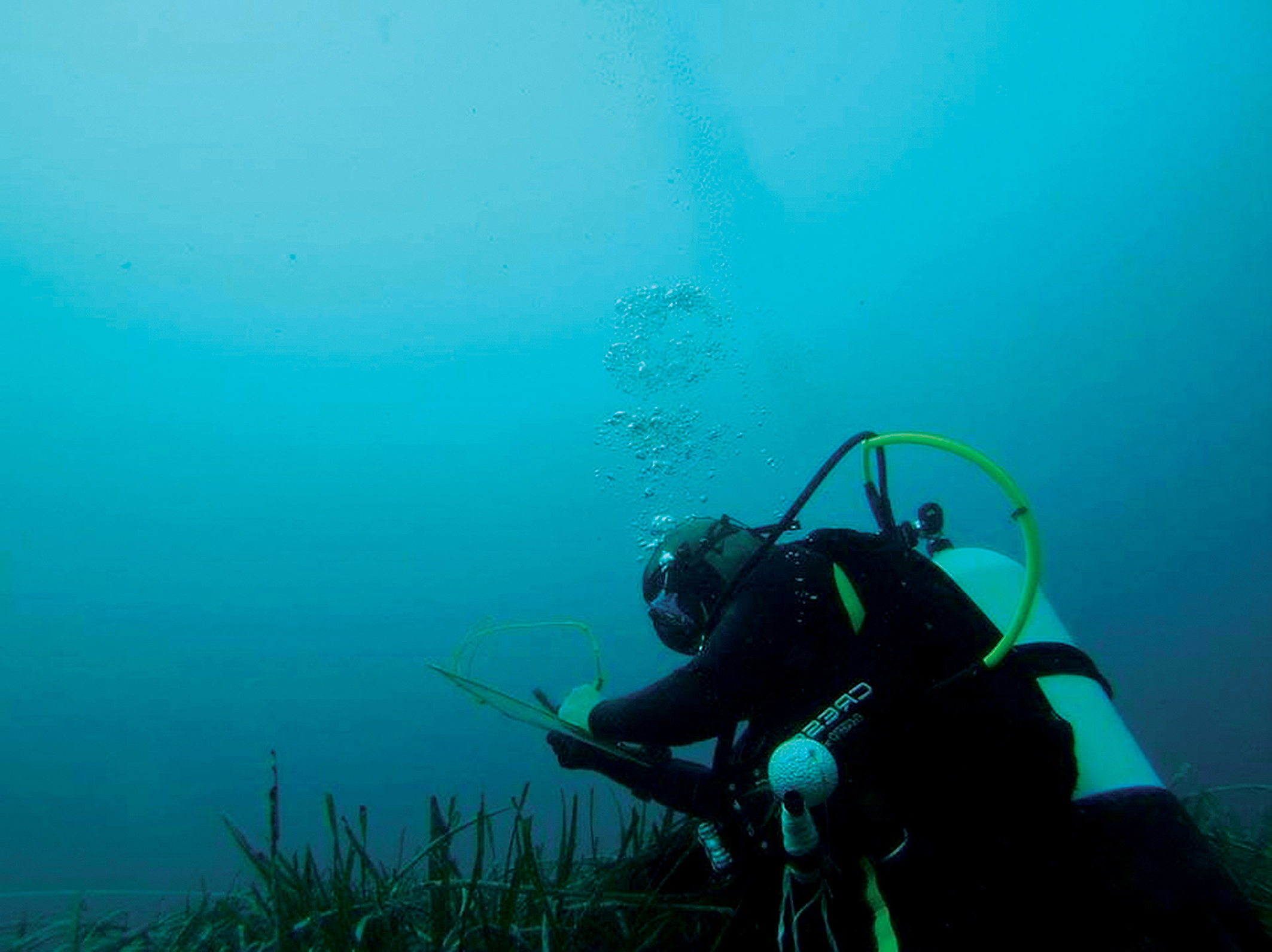 Maria M. Intxaustegi