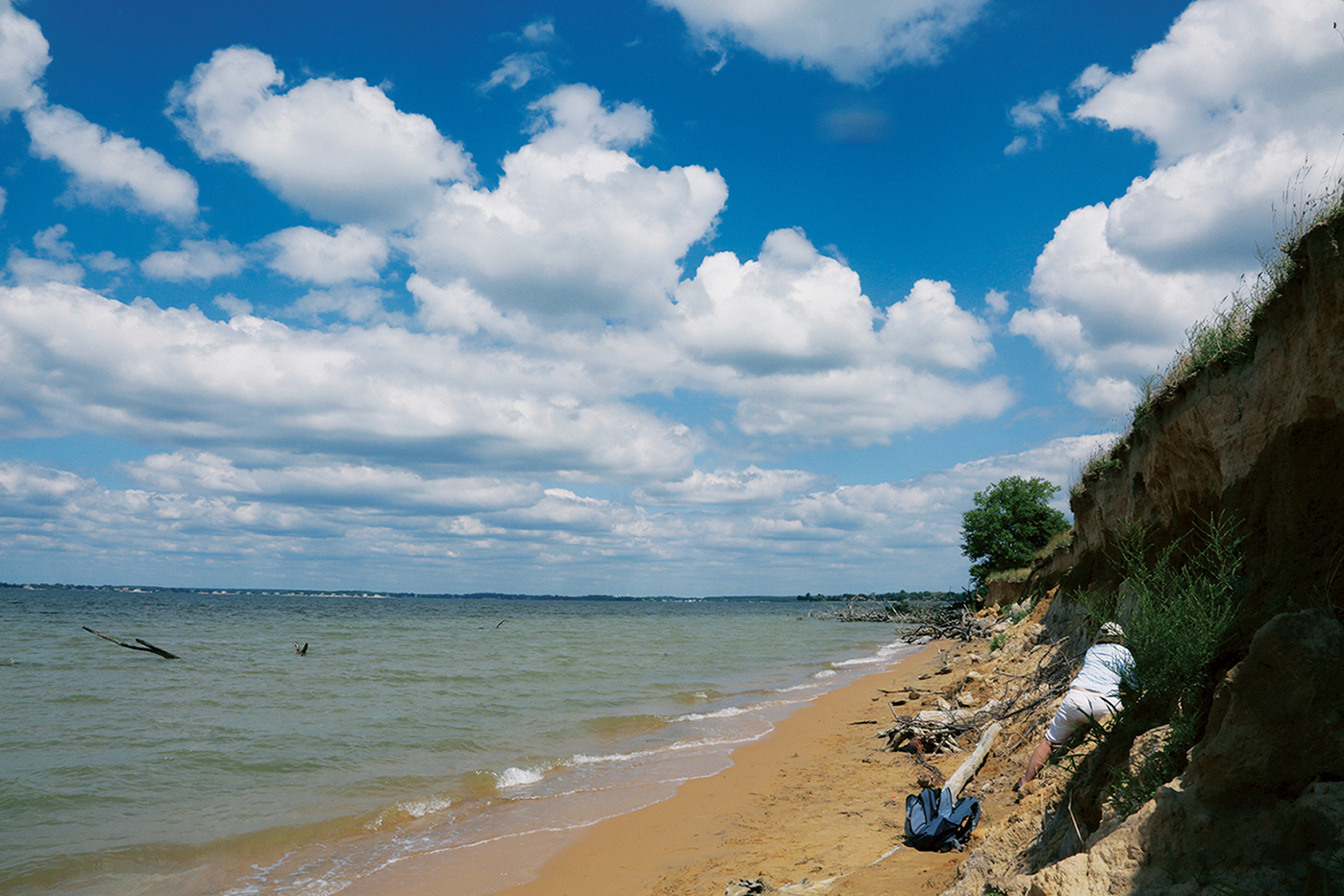 Luizien egoera gainbegiratzea, hondartzan azaleratu den geruzan. © Xabi Otero