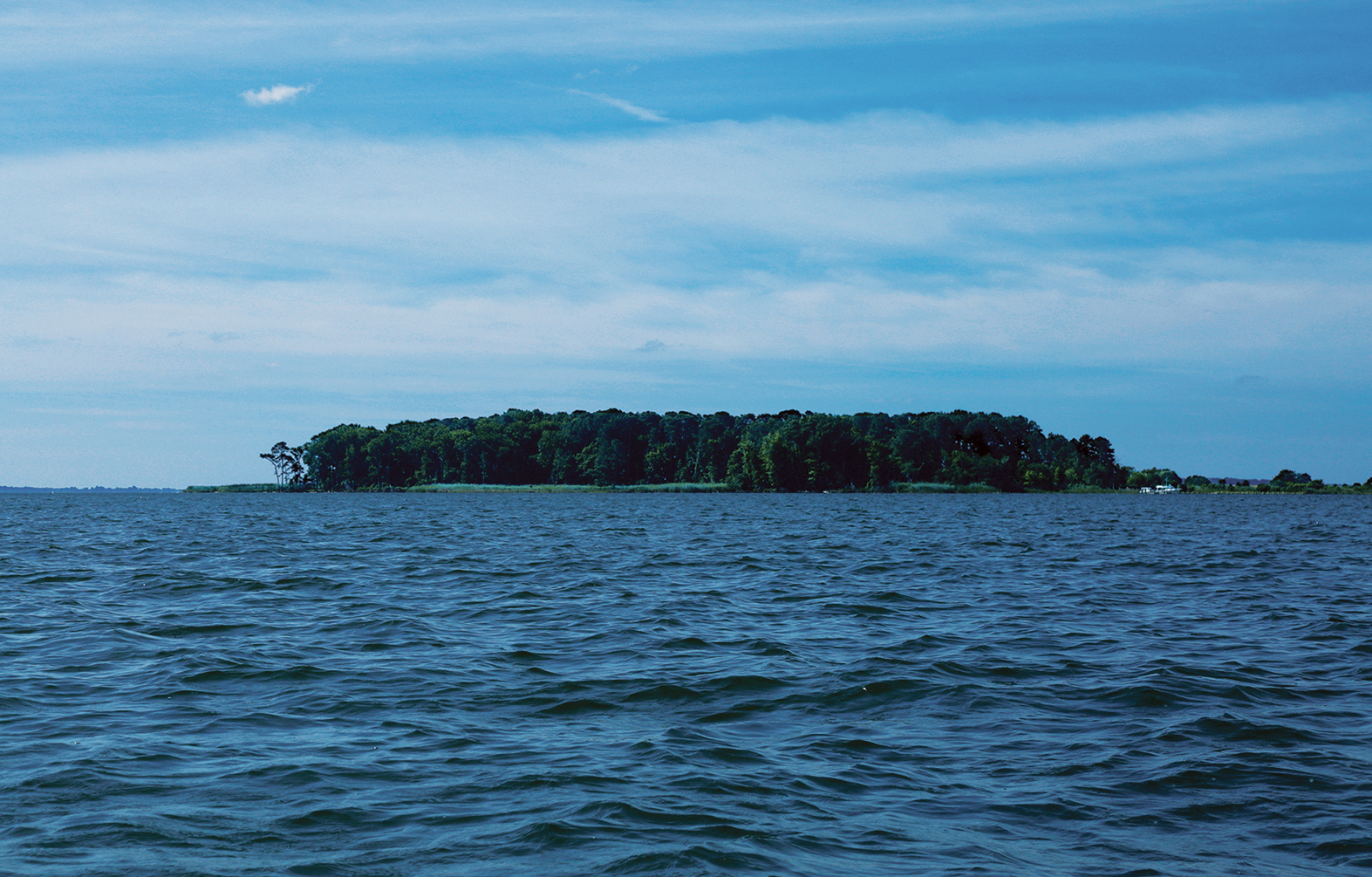 Parsons Island. © Xabi Otero